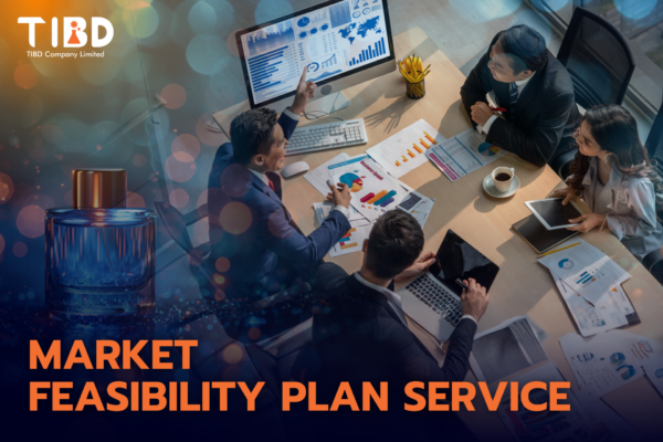 Market Feasibility Plan Service