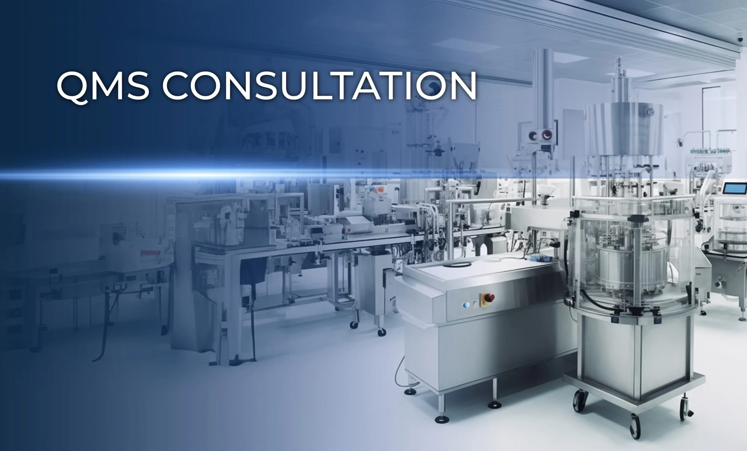 QMS Consultation