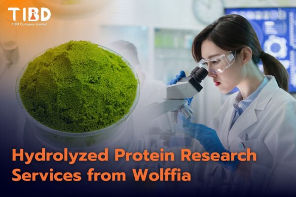 วิจัยโปรตีนไฮโดรไลเสทจาก ไข่ผำ Hydrolyzed Protein Research Services from Wolffia