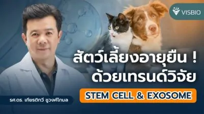 สัตว์เลี้ยงอายุยืน ! เทรนด์วิจัย Stem Cell & Exosome มาแรง