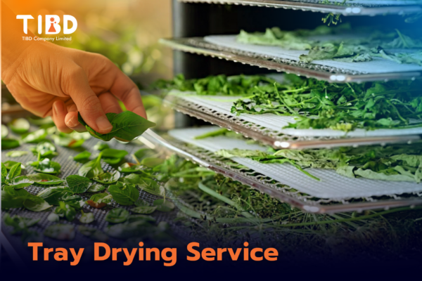 บริการอบแห้งแบบถาด (Tray Drying Service)